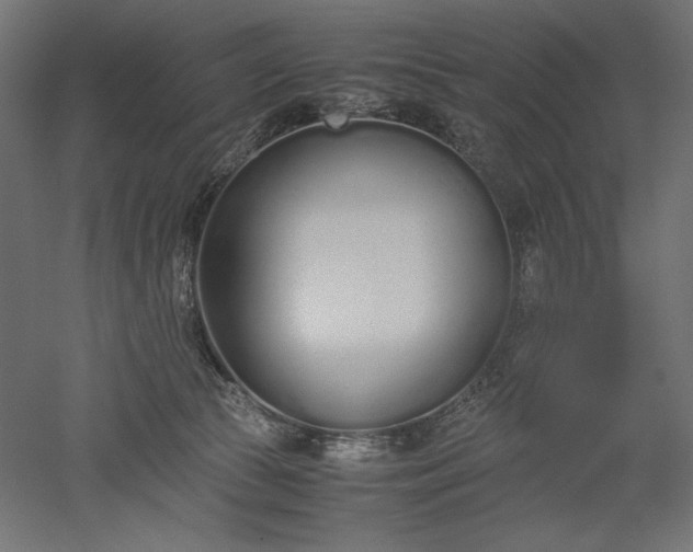 X0000051910177200507011543