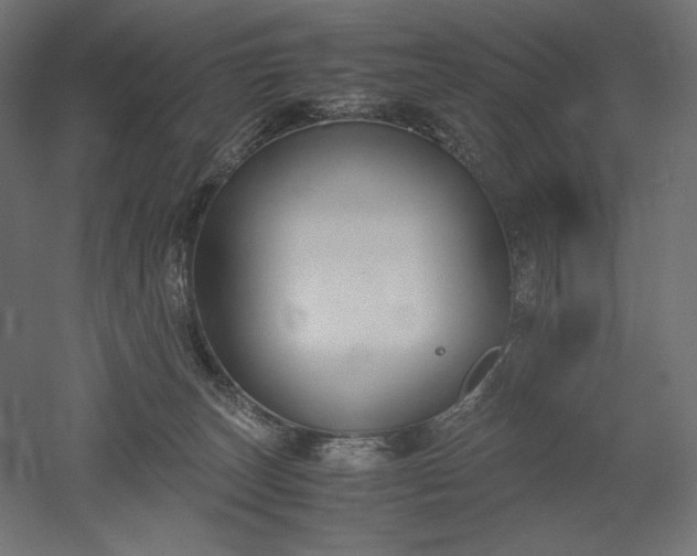 X0000051910179200507011543