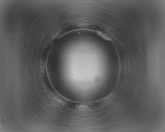 X0000051910180200507011543