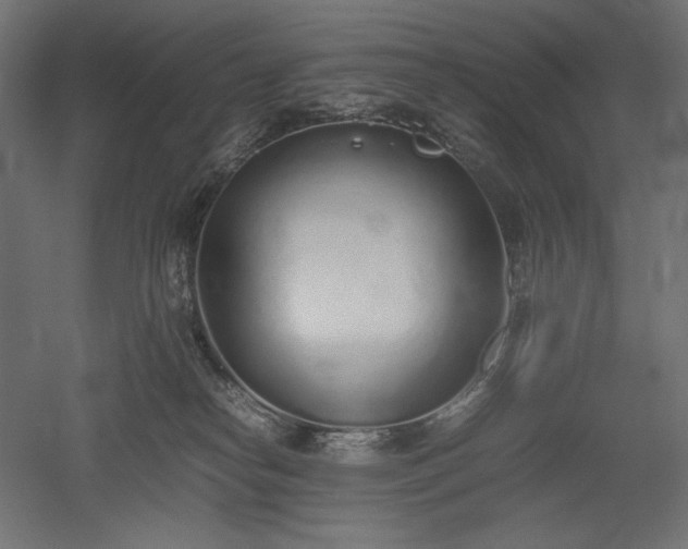 X0000051910182200507011543