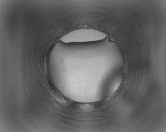 X0000051910183200507011543