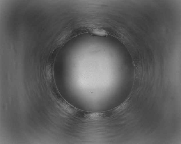 X0000051910184200507011543