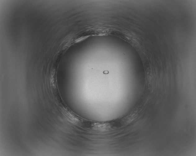 X0000051910185200507011543