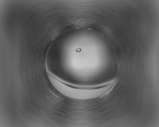 X0000051910186200507011543