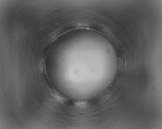 X0000051910189200507011543