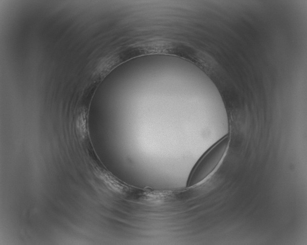 X0000051910190200507011543