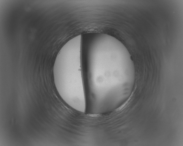 X0000051910192200507011543