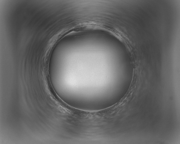 X0000051910193200507011542