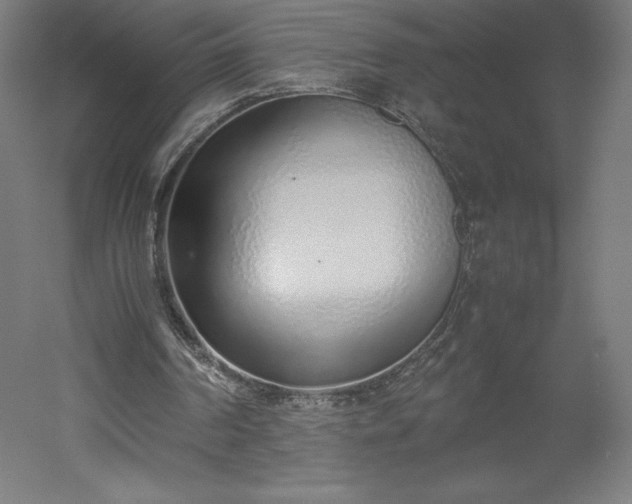 X0000051910194200507011542