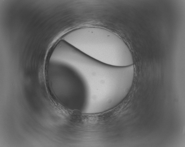 X0000051910196200507011542