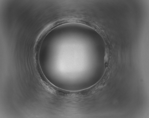 X0000051910197200507011542