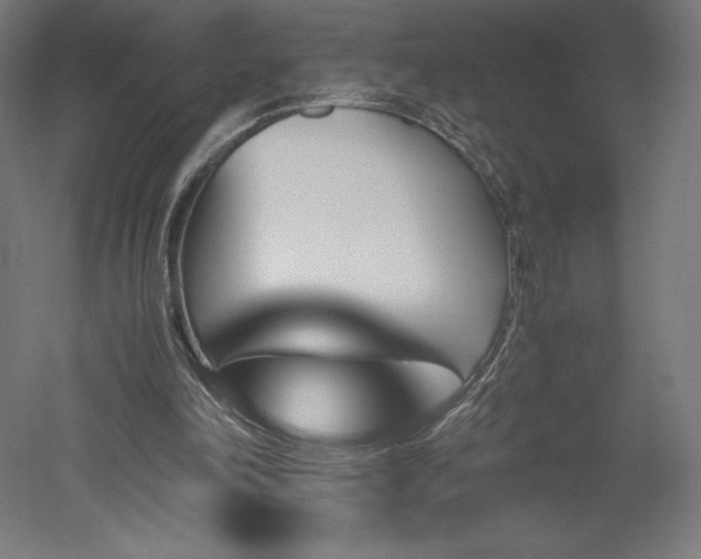 X0000051910198200507011542