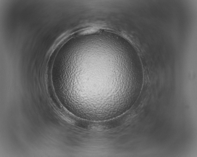 X0000051910199200507011542