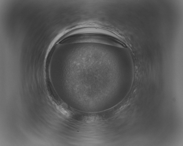 X0000051910200200507011542