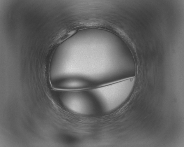 X0000051910201200507011542