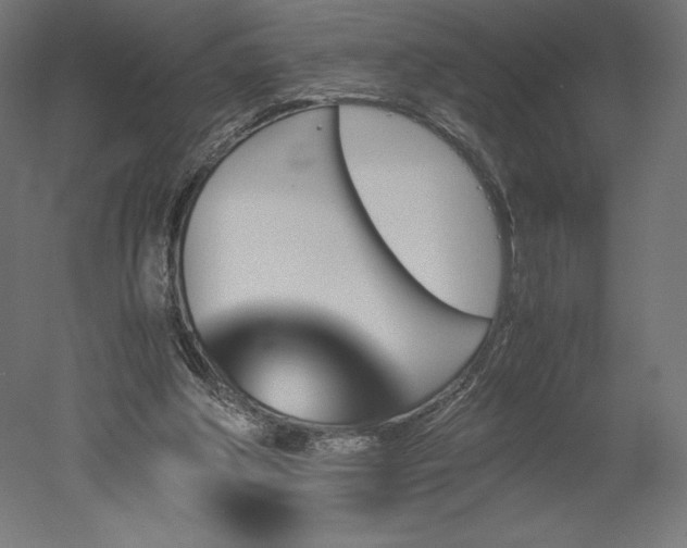 X0000051910202200507011542