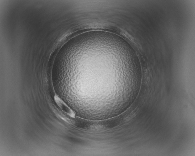 X0000051910203200507011542