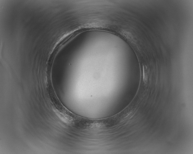 X0000051910204200507011542