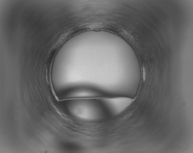 X0000051910205200507011542