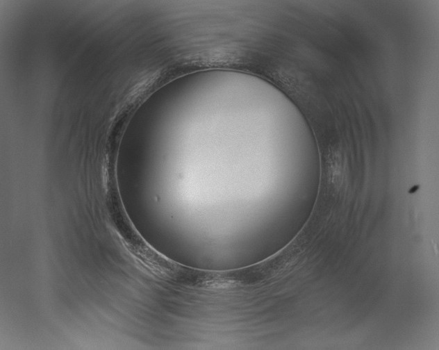 X0000051910206200507011542