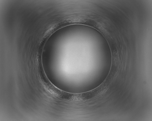 X0000051910207200507011542