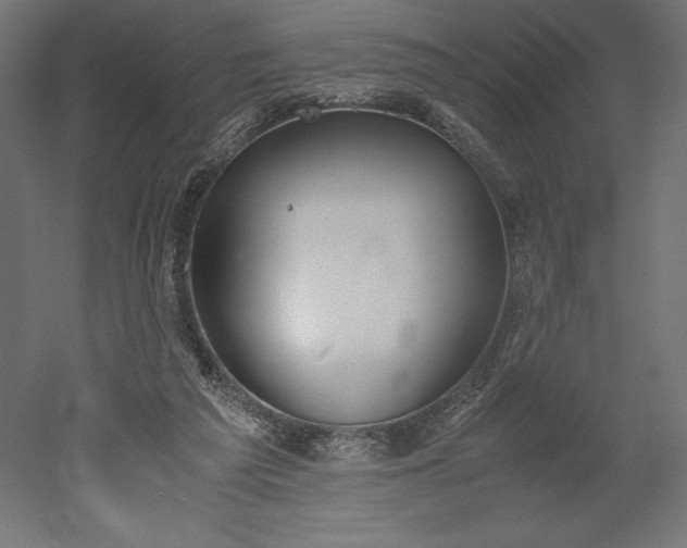 X0000051910209200507011542