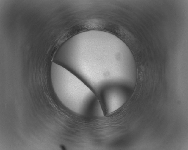 X0000051910210200507011542