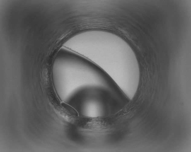 X0000051910211200507011542