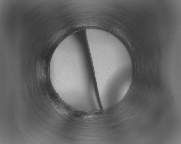 X0000051910212200507011542