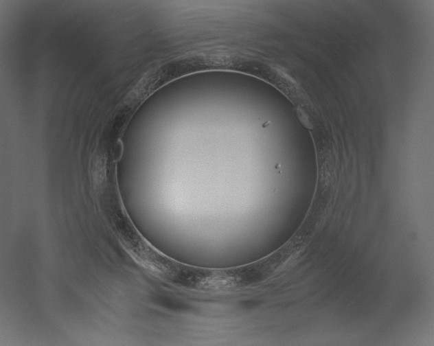 X0000051910213200507011542