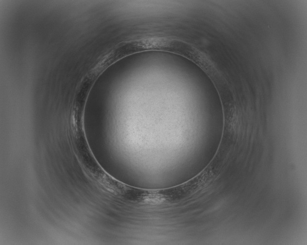 X0000051910214200507011542