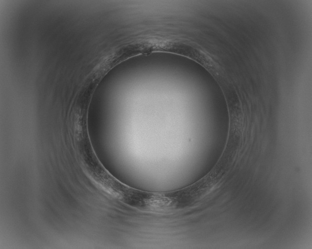 X0000051910215200507011542