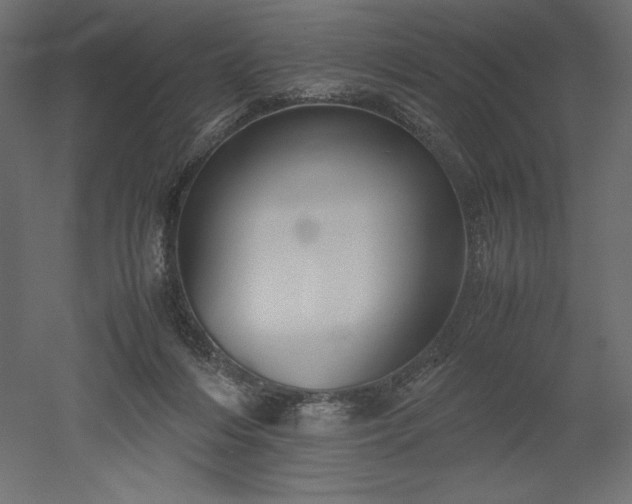 X0000051910216200507011542