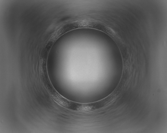 X0000051910217200507011542