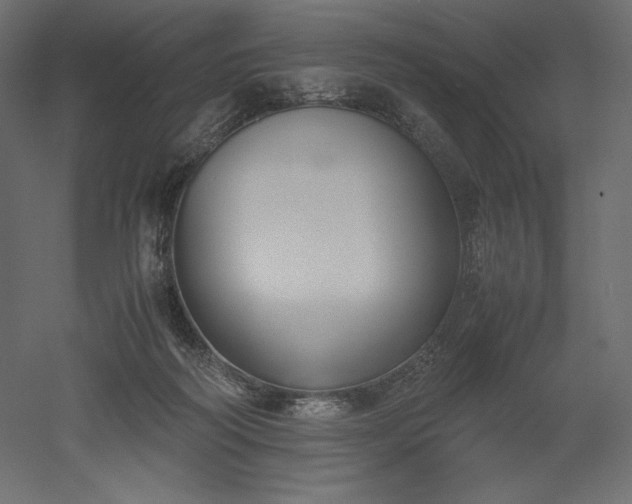 X0000051910218200507011542