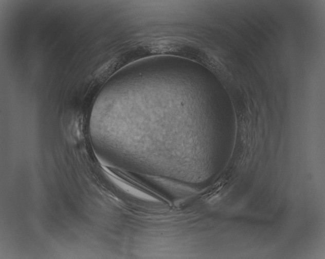 X0000051910219200507011542