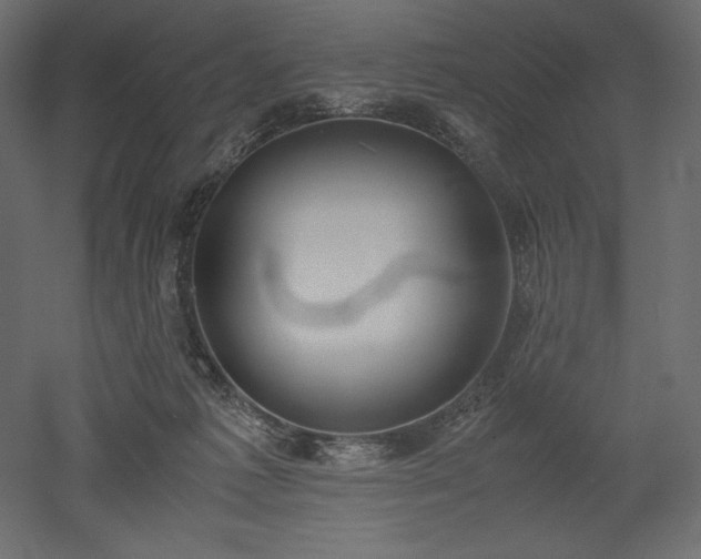 X0000051910221200507011542