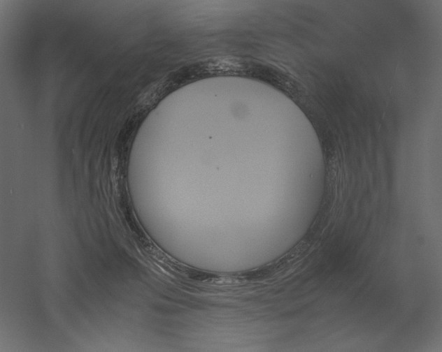 X0000051910223200507011542