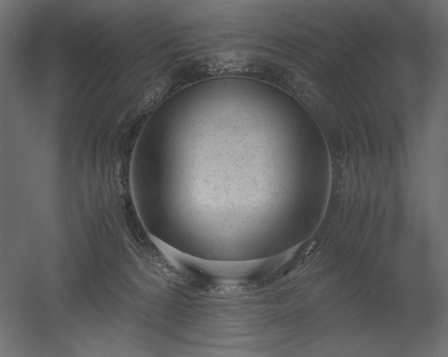 X0000051910224200507011542