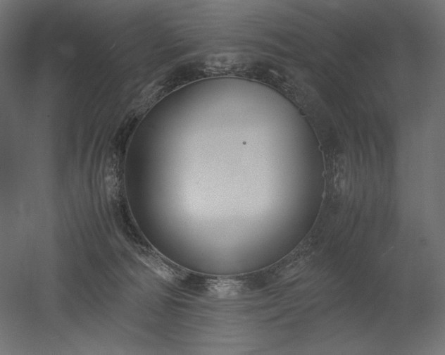 X0000051910226200507011542