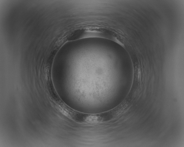 X0000051910227200507011542