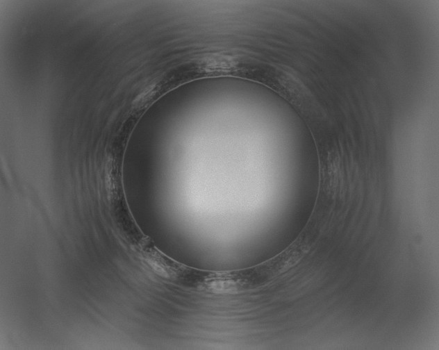 X0000051910228200507011542