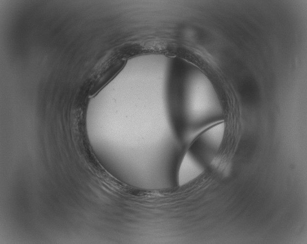 X0000051910229200507011542