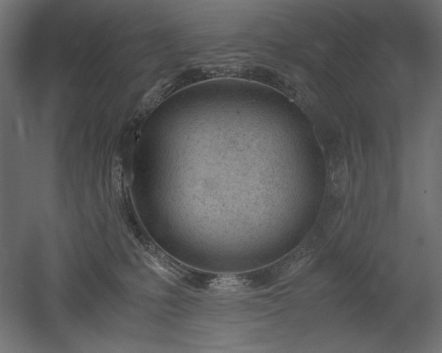 X0000051910231200507011542