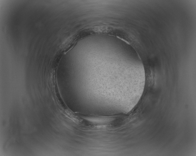 X0000051910233200507011542