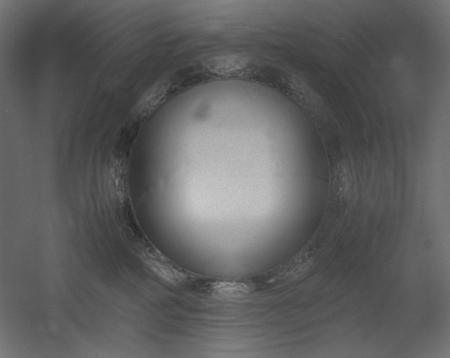 X0000051910234200507011542