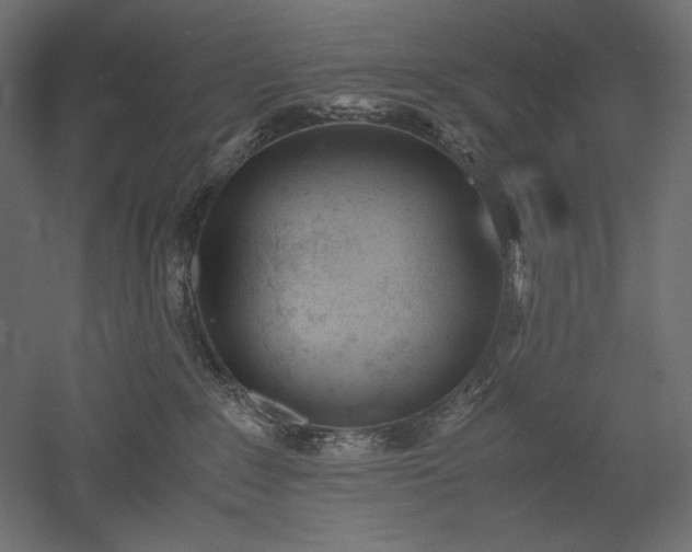 X0000051910235200507011542