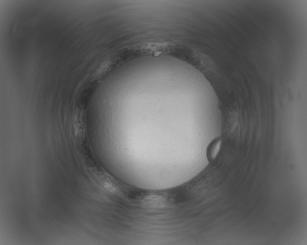 X0000051910236200507011542