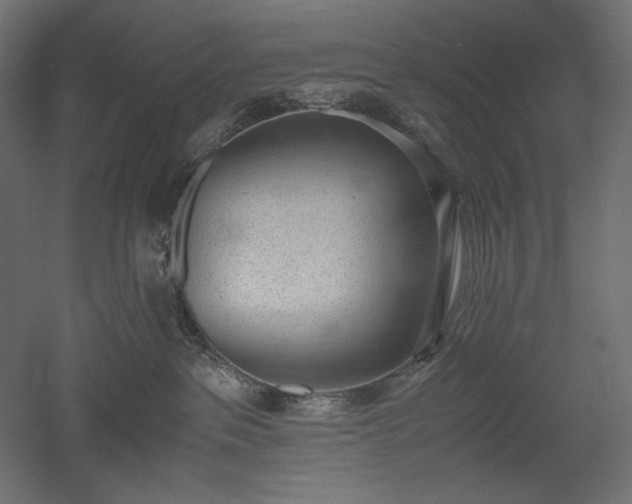 X0000051910237200507011542