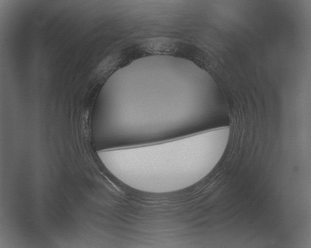 X0000051910239200507011542